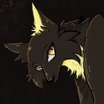 DarotheWolf's Avatar