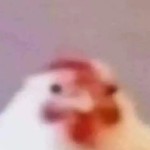 Hyenadayy's Avatar