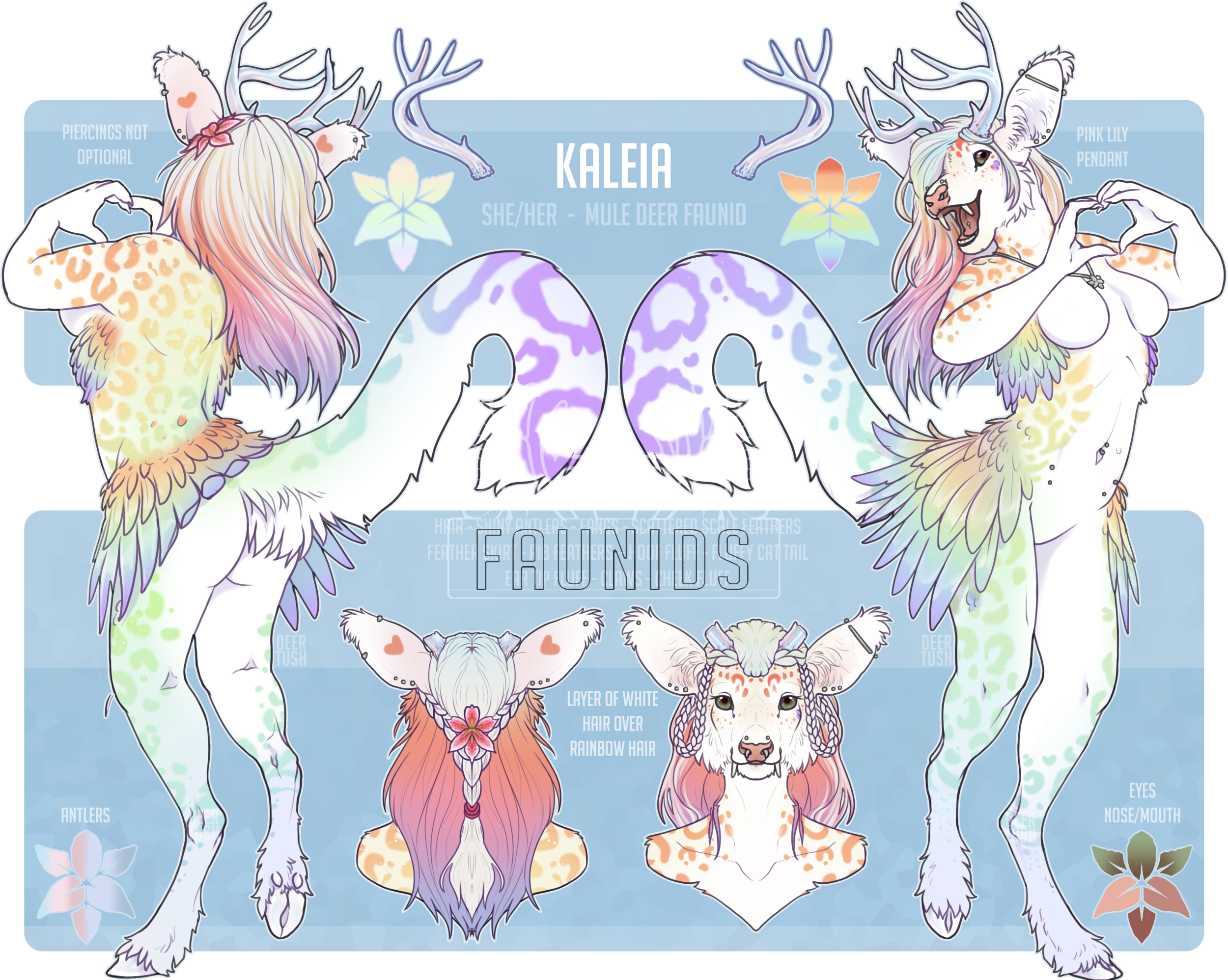 FAUN-00270: Kaleia