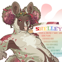 Thumbnail for FAWN-00361: Shelley