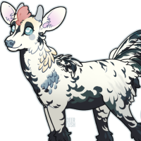 Thumbnail for FAUN-00320: Rami Roo
