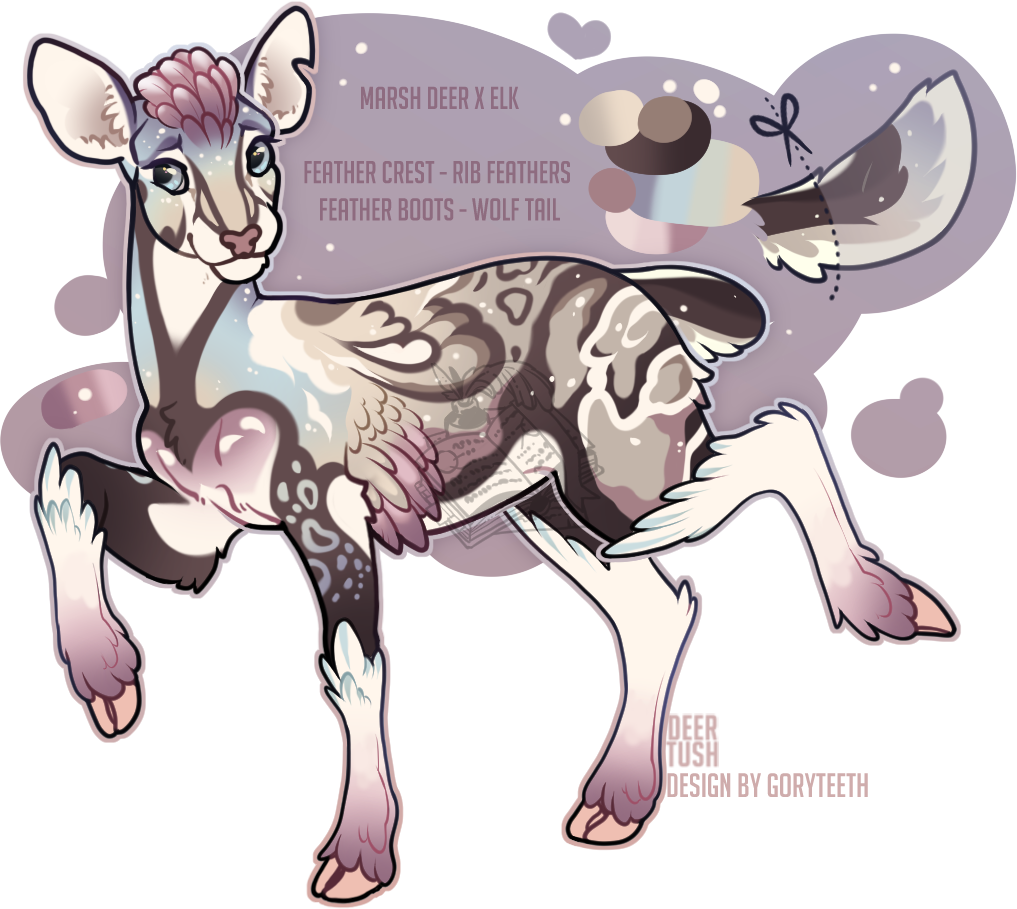 FAWN-00556: Cirrus Shore
