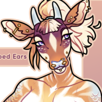 Thumbnail for FAWN-00091: Sherry