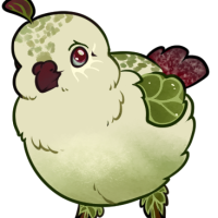 Thumbnail of FAUN-00680: Clumpfoot Cabbage