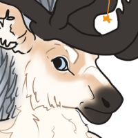 Thumbnail image for FAUN-00138: Thicket