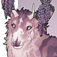 Thumbnail for FAWN-00312: Wisteria