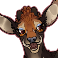Thumbnail image for FAWN-00664: Kestrel