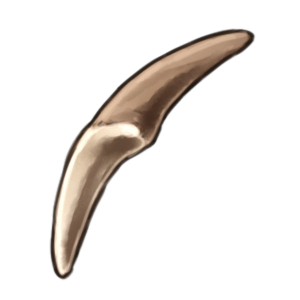 Tooth