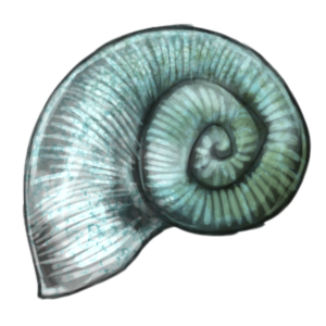 Shell (Blue)