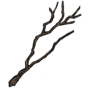 Small Branch