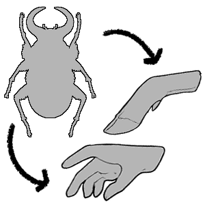 Bug Semi-MYO Token